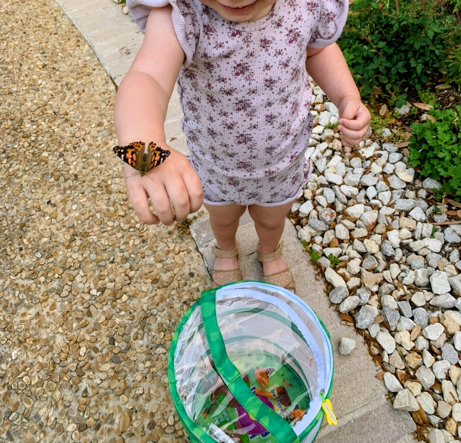 Child gently holding a butterfly before releasing it outdoors